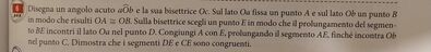 Immagine WhatsApp 2025 01 13 ore 15.26.45 f1ec34c7