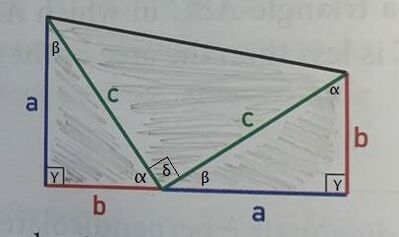38 bis
