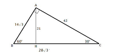 triangolo rettangolo 10022026