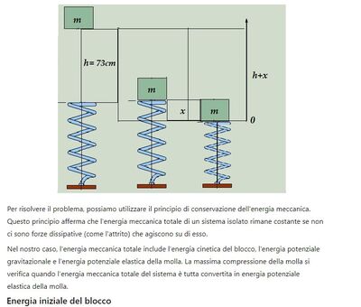 molla compressa 1
