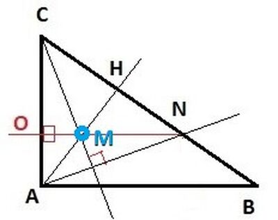 triangoli rett altezza