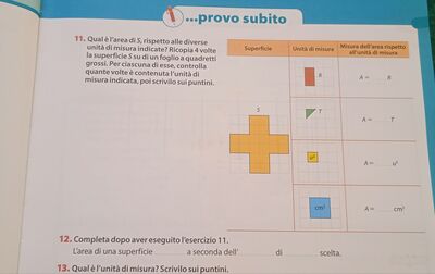 IMG 20241116 113304