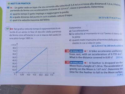 IMG 1691762178298 (1)