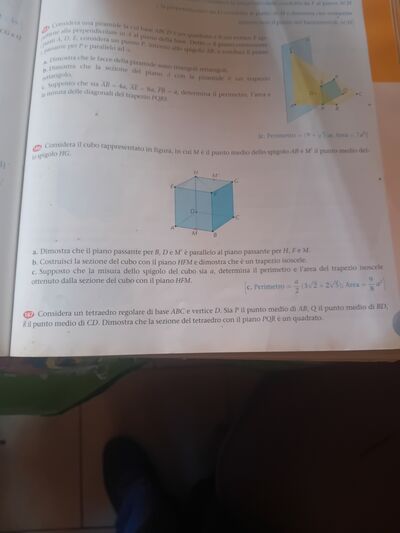 17713255905145536794537836057555