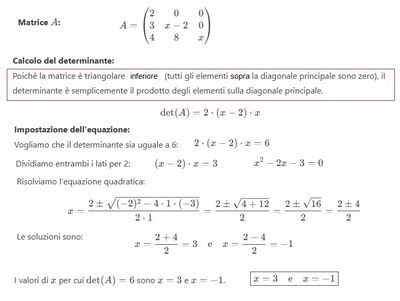 Determinante Matrice 3x3b