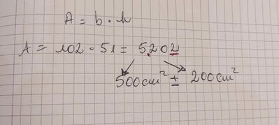 Immagine WhatsApp 2024 01 19 ore 16.42.34 358f2488
