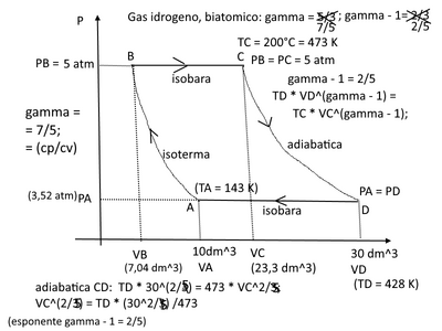 ciclo term