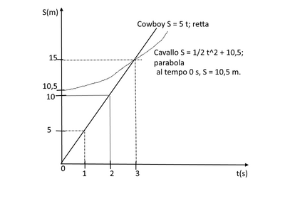 cavallo