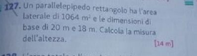 IMG 20250113 153037(1)