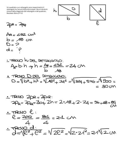 IMG 2585