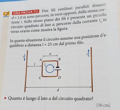 photo 5823492388407066279 y