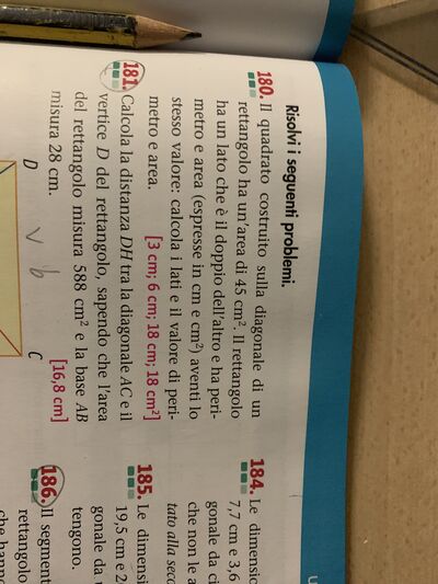 IMG 2773