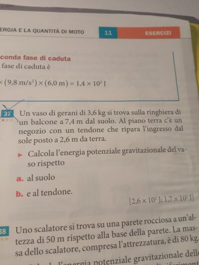 IMG 1678027327952