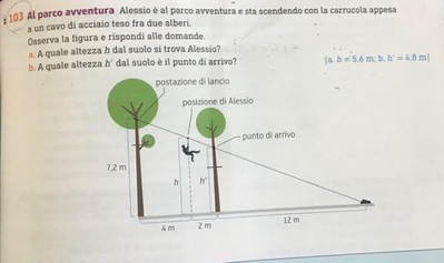 Immagine 2025 03 04 104441