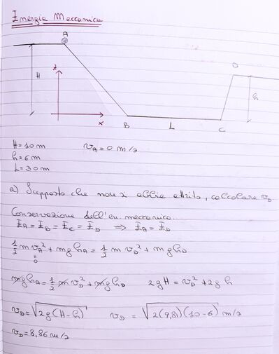 IMG 2294