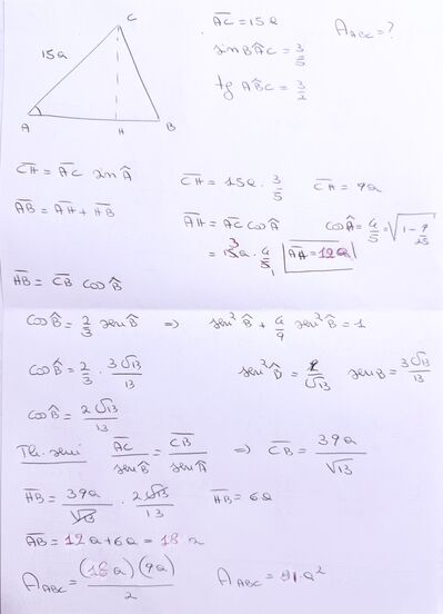 IMG 2452