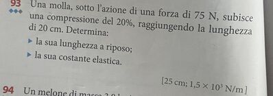 IMG 2778