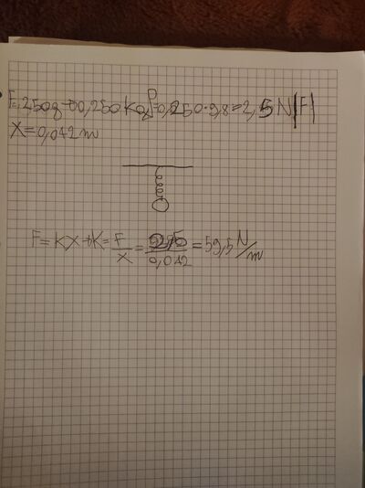 IMG 1677786078431