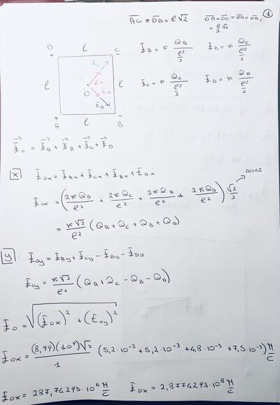 IMG 9466