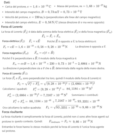 Calcolo forze di Lorentz e risultante 1