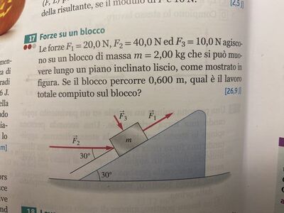 image (2)