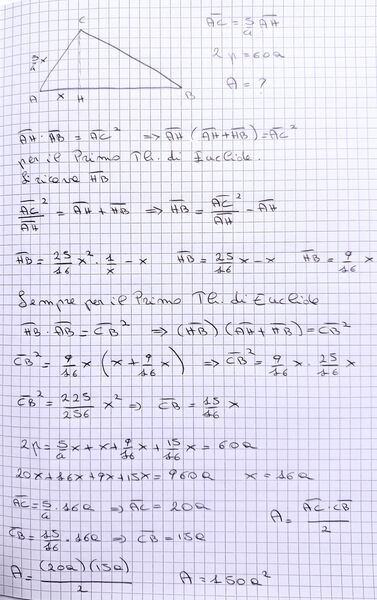 IMG 0725