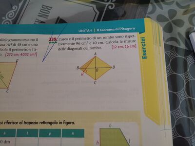 IMG 20250213 161625