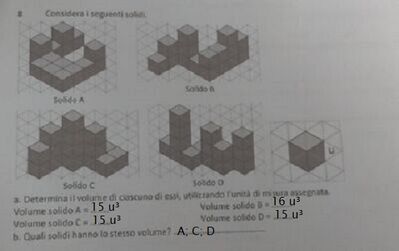 IMG 20250219 113304 (1)