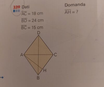 20241118 175345