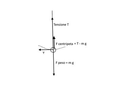 tensioneliana