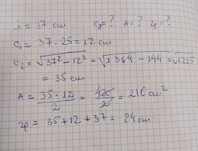 Immagine WhatsApp 2024 03 02 ore 14.06.23 1ce641e2