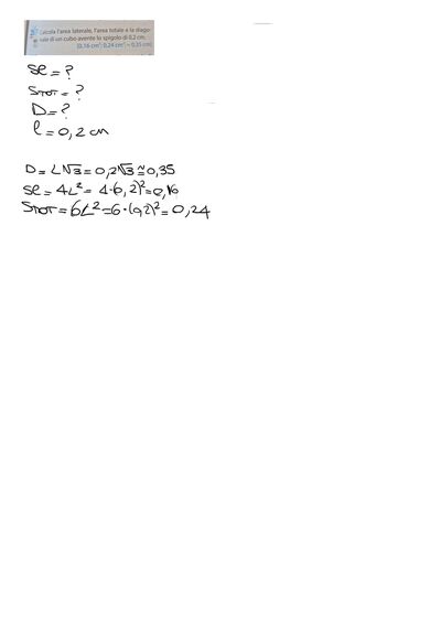 IMG 1885