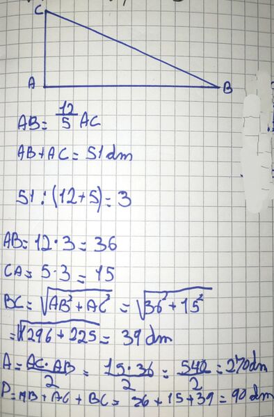IMG 20230928 191926