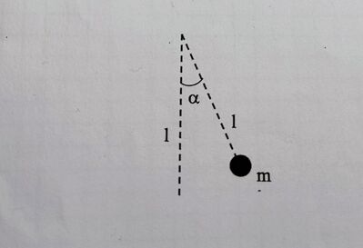 IMG 20240310 093104510 AE