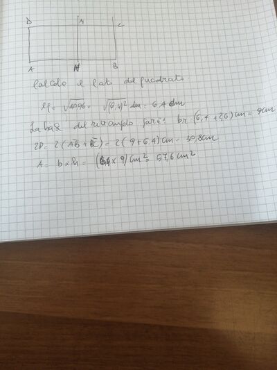 16812205296474911829530636031075
