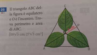 IMG 20210307 180914