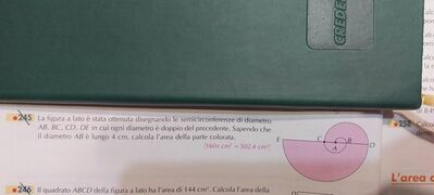 IMG 1676226127719