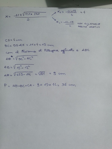 15881738261091935702941