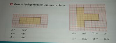 IMG 20241116 181400
