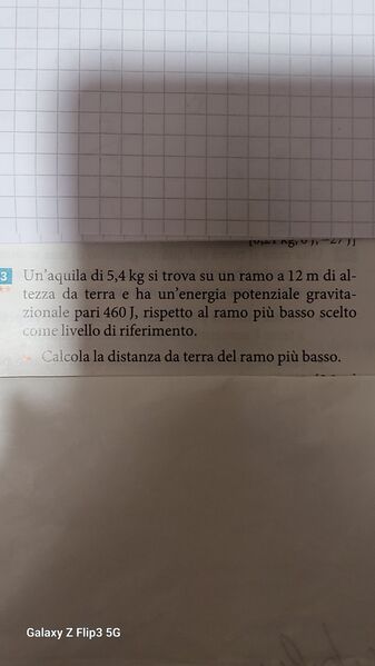 IMG 1677939088124