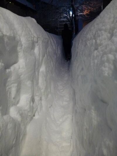 tunnel