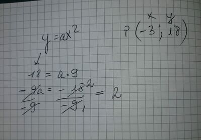 Immagine WhatsApp 2024 02 12 ore 11.58.06 f478644c