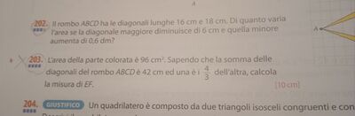 IMG 20251209 172731