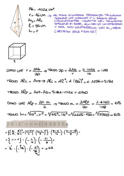 IMG 2550