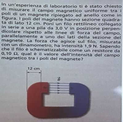 IMG 20241111 110940