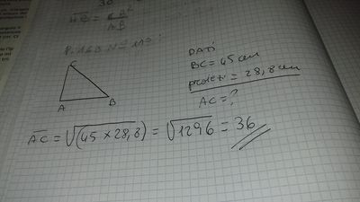 160312842095944267981