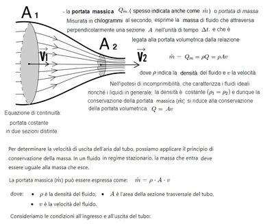portata massica 1