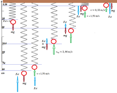 5 molla grafico