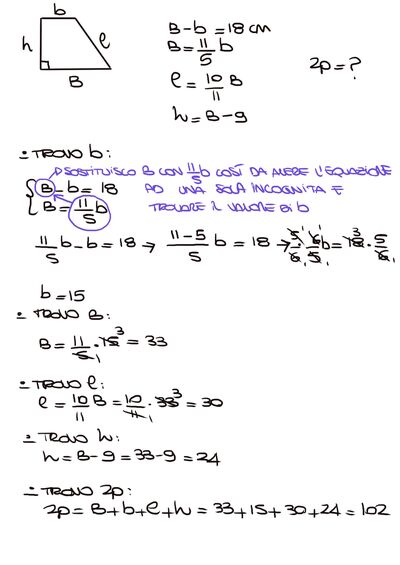 IMG 2460