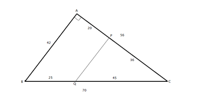 triangolo rettangolo proporzioni 21042025